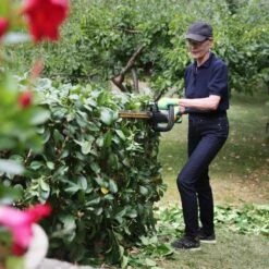 Pack Taille-haies Sur Batterie 18v Lamier 51cm Texas Hedge 200 Chargeur Inclus -Promos Jardin Pro Magasin 63503efdbf5e34.79098694