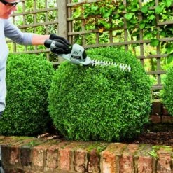 Taille Herbe Et Haie Lame 200 Mm Pack Batterie Et Chargeur 2 Ah Ego Cht2001e -Promos Jardin Pro Magasin 6358477784cc77.40938340