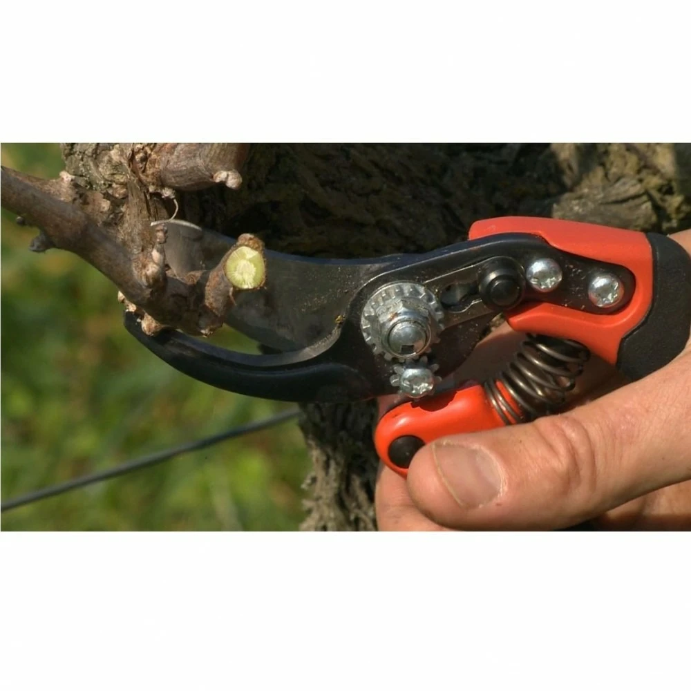 Sécateur A Une Main Acier Trempé Bahco Ergo Pro Poignée Fixe Taille M 3 Sécateur A Une Main Acier Trempé Bahco Ergo Pro Poignée Fixe Taille M – Image 3