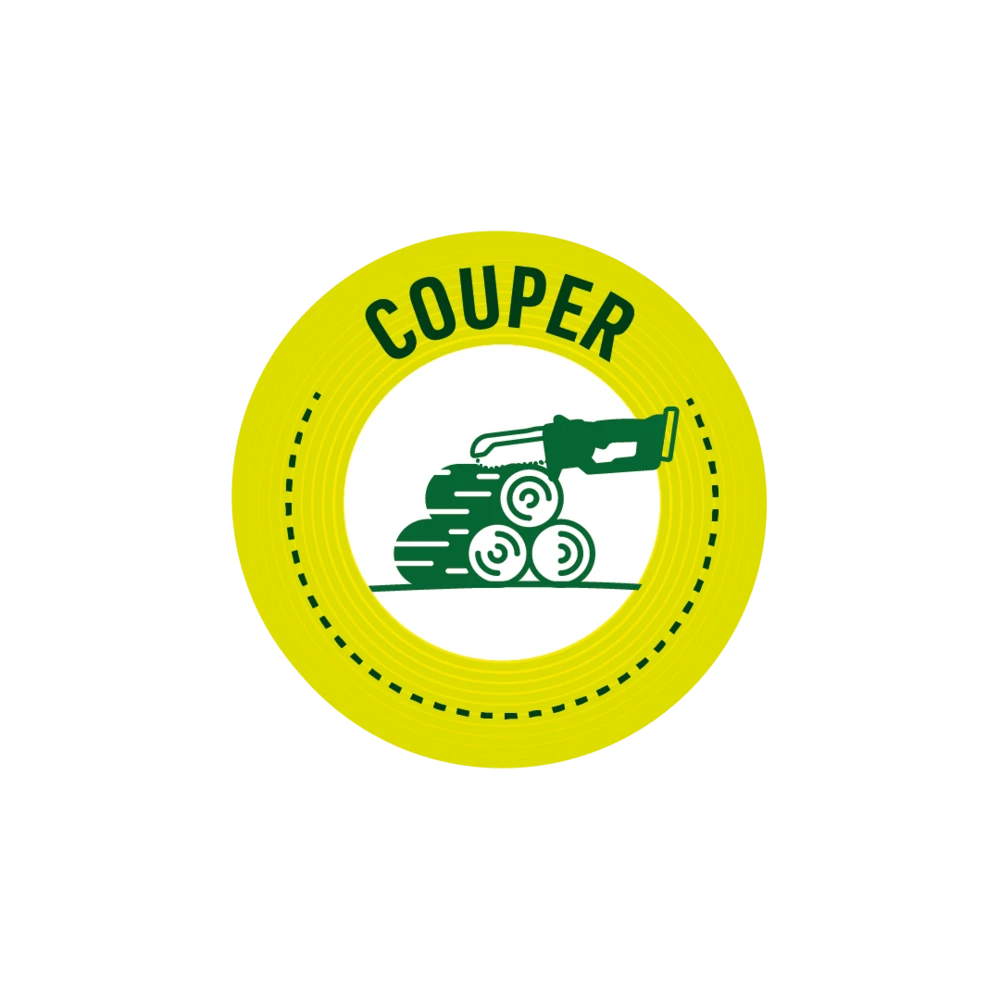 Pack Tronçonneuse Sans Fil Manche Télescopique + Lot De 2 Chaînes-vert 2 Pack Tronçonneuse Sans Fil Manche Télescopique + Lot De 2 Chaînes-vert – Image 2