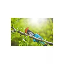 Gardena Elagueuse Sur Perche Tcs 20/18v P4a Avec Batterie -Promos Jardin Pro Magasin 641da6793705b1.97358156