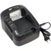 Chargeur De Batterie Rapide Gt Elec 40 Volts