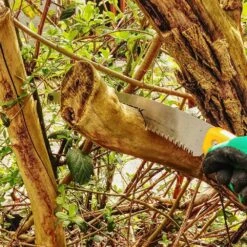 Scie D'élagage Orca 485 Mm -Promos Jardin Pro Magasin 647989a0b696a7.10727540